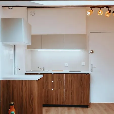 Appartement Le Nid Douillet De L'Hypercentre à Toulouse Extérieur photo