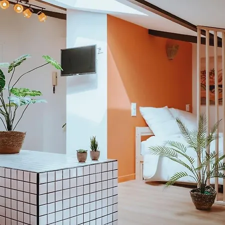 Appartement Le Nid Douillet De L'Hypercentre à Toulouse Extérieur photo