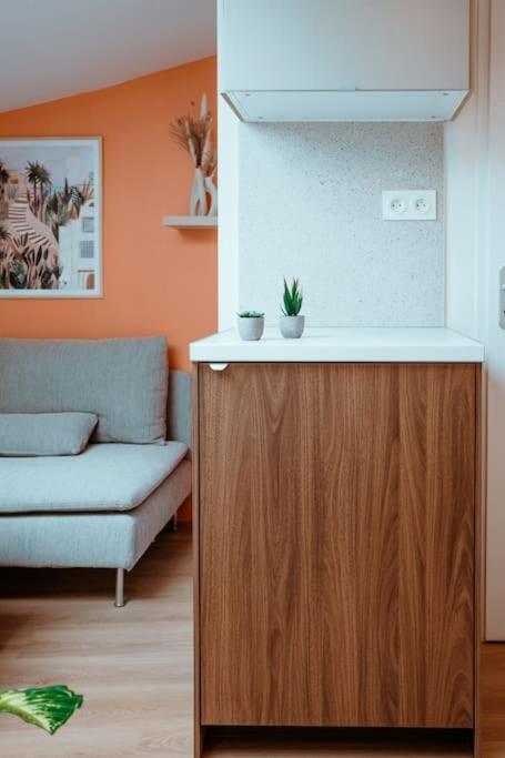 Le Nid Douillet De L'hypercentre * Toulouse