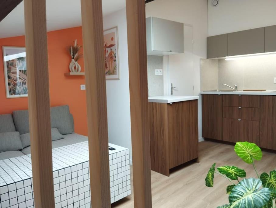 Le Nid Douillet De L'hypercentre * Toulouse