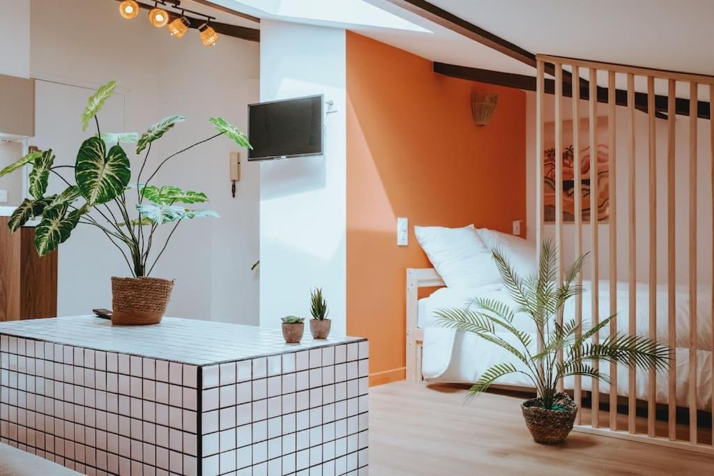 Le Nid Douillet De L'hypercentre * Toulouse